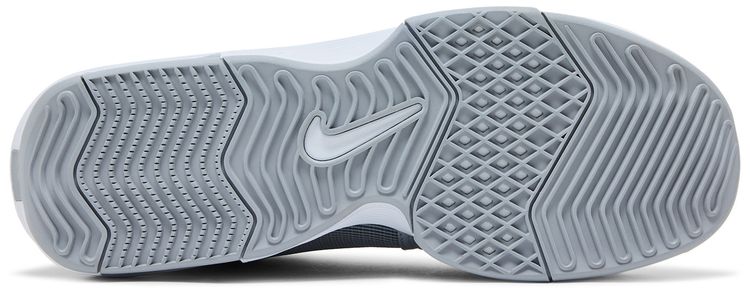 Nike LeBron Witness 8 TB Wolf Grey