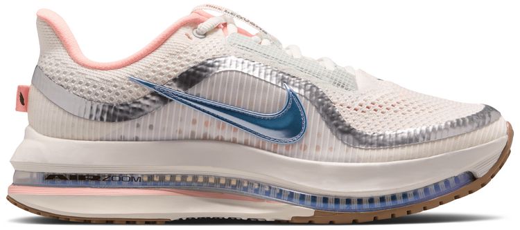 Dicks x Nike Wmns Pegasus Premium Now And Then