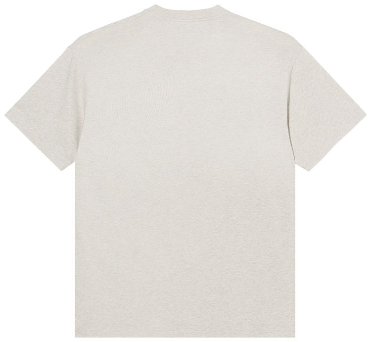 Polar Skate Co Mindfulness Tee IvoryGrey Melange