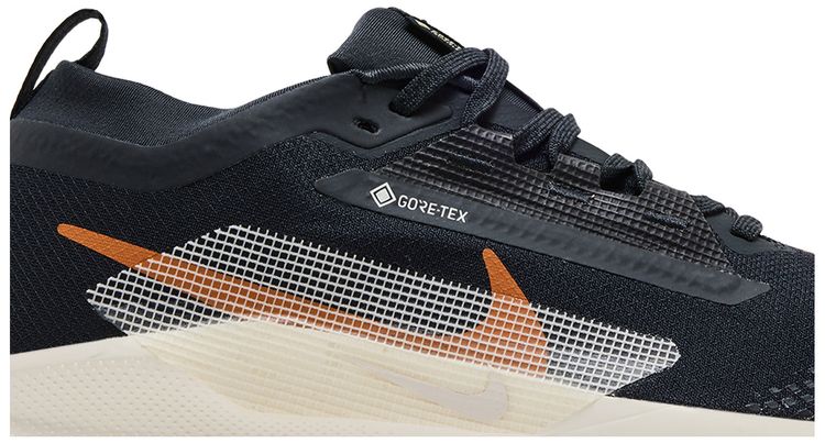 Nike Pegasus Trail 5 GORE TEX Black Monarch