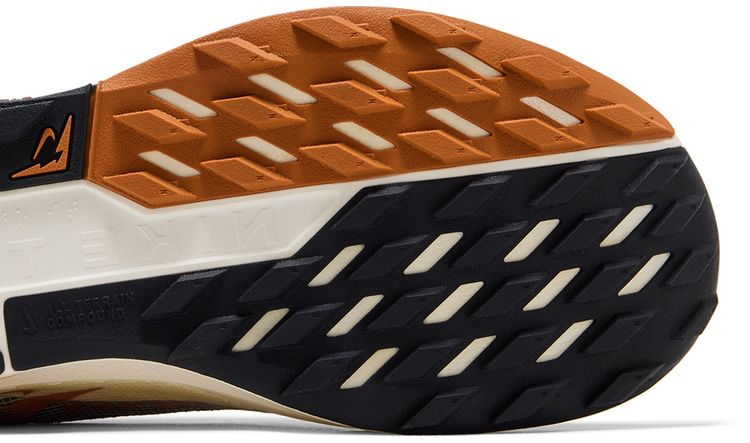 Nike Pegasus Trail 5 GORE TEX Black Monarch