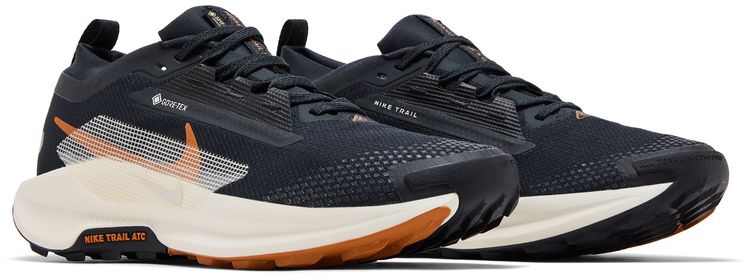 Nike Pegasus Trail 5 GORE TEX Black Monarch