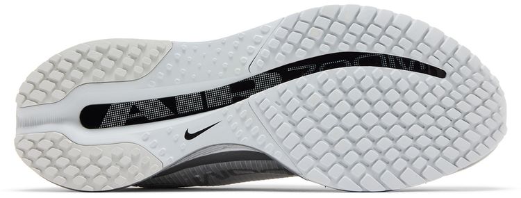 Nike Pegasus Premium Photon Dust