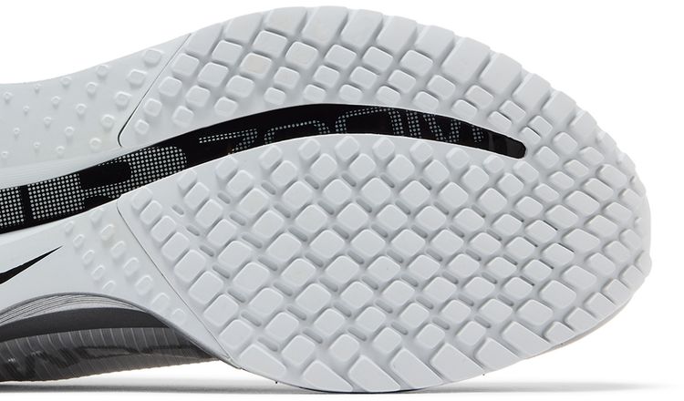 Nike Pegasus Premium Photon Dust