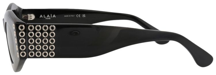 Alaia Round Frame Acetate Sunglasses Black Black Grey