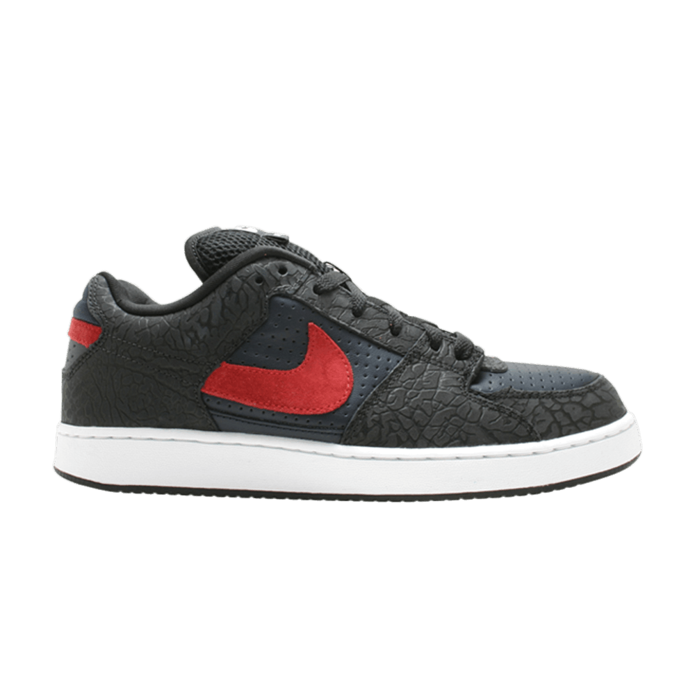nike sb team edition zooms