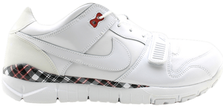 Nike Trainer Dunk Low