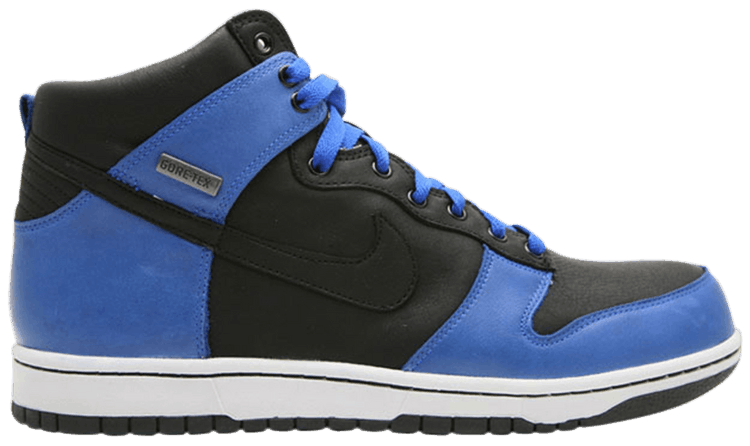 Nike Dunk High Premium Gtx