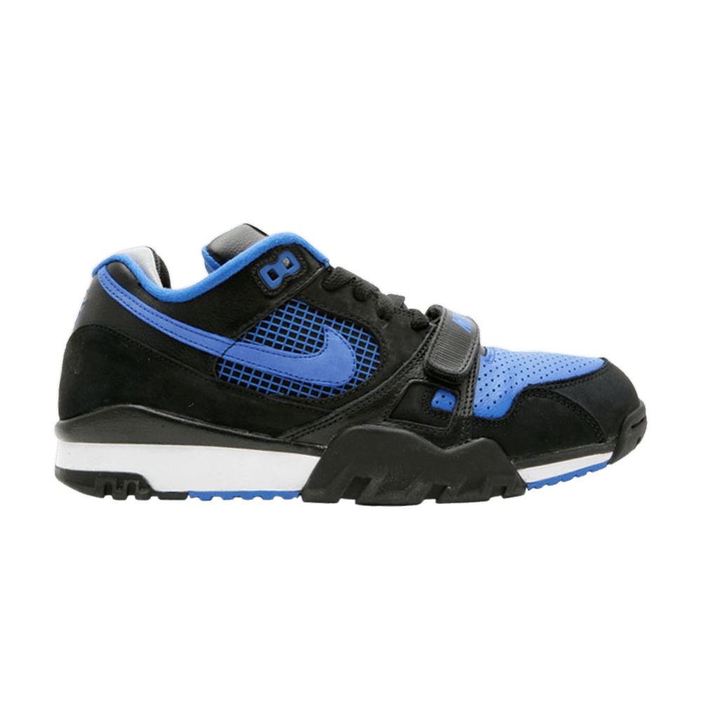 nike air trainer 2 sb