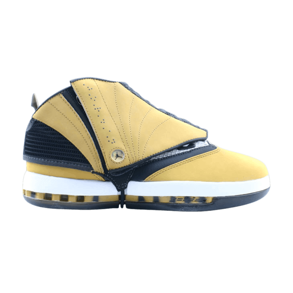 Air jordan xvi ginger 2025