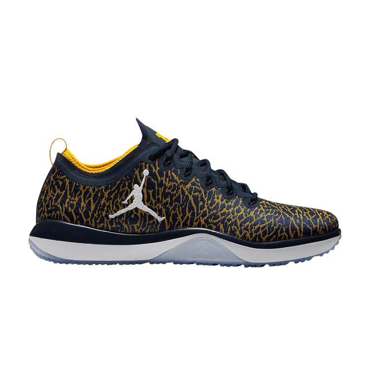 Jordan trainer 1 low 2025