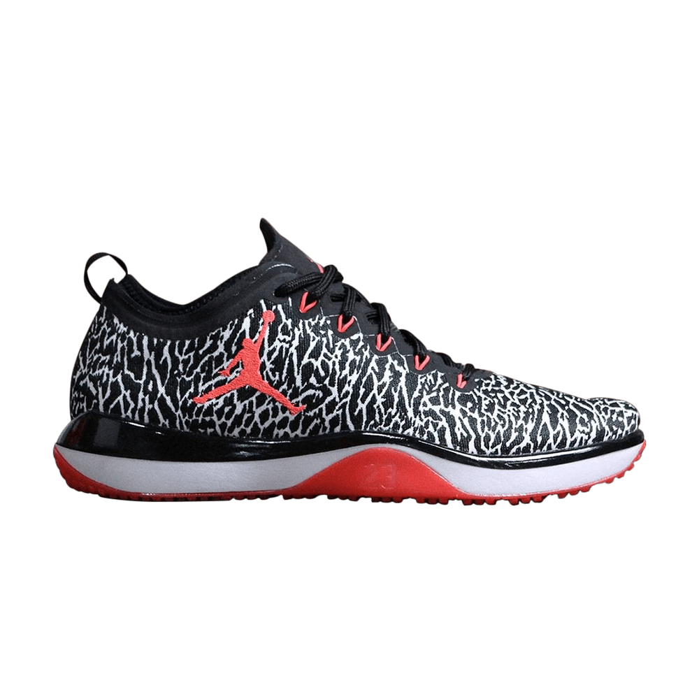 jordan trainer 1 low black