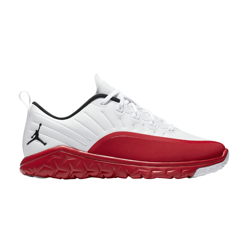 jordan 12 trainer prime