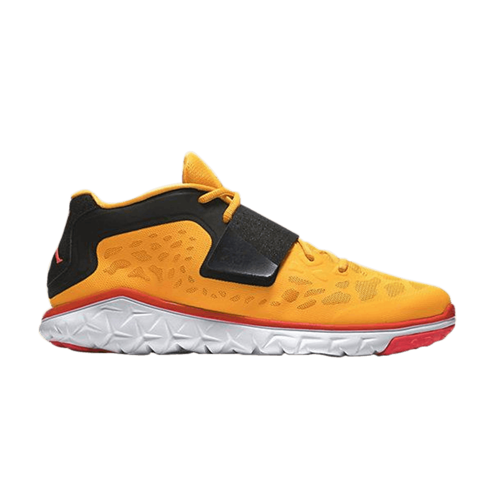 Flight flex trainer 2