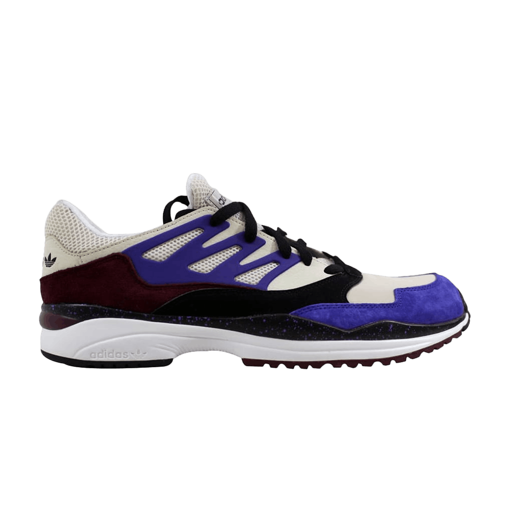 torsion allegra