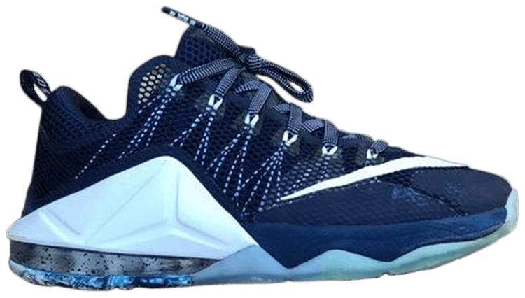 Nike LeBron 12 Low Akron PE