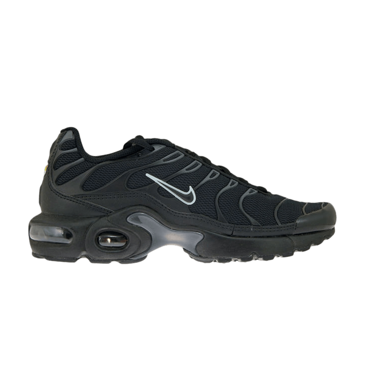 Buy Air Max Plus GS Black Pure Platinum 655020 053 GOAT