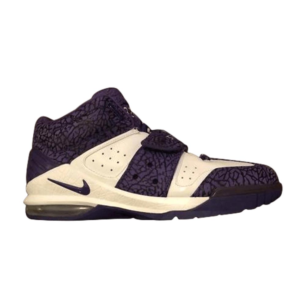 amare stoudemire air force 1
