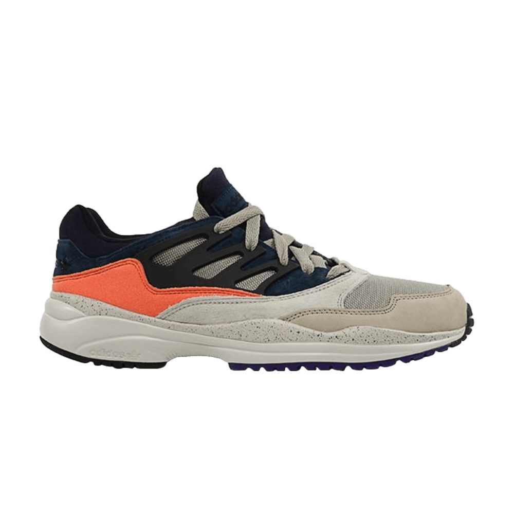 torsion allegra