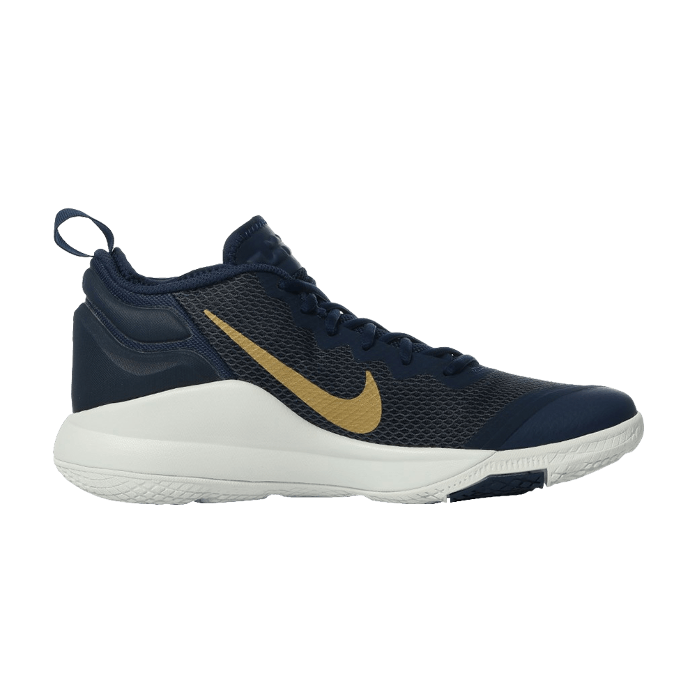 lebron witness 2 blue