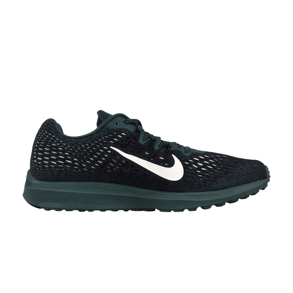 men's nike winflo 5