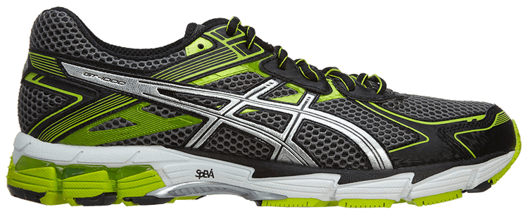 Asics GT 1000 29 2E Storm