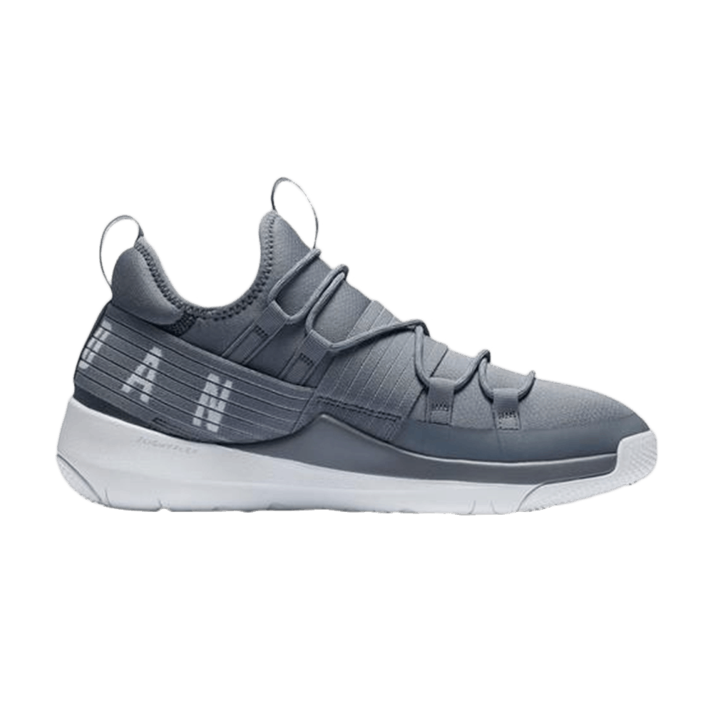 jordan trainer pro cool grey
