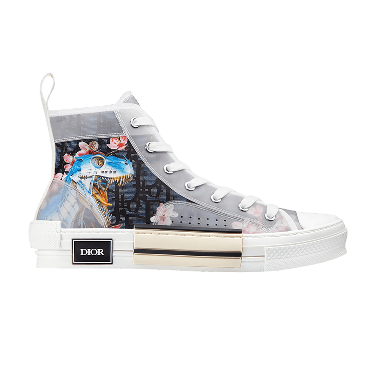Dior x sorayama shoes hotsell