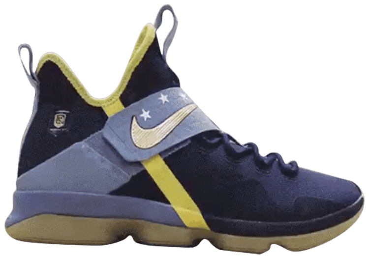 Nike LeBron 14 EYBL Academy PE