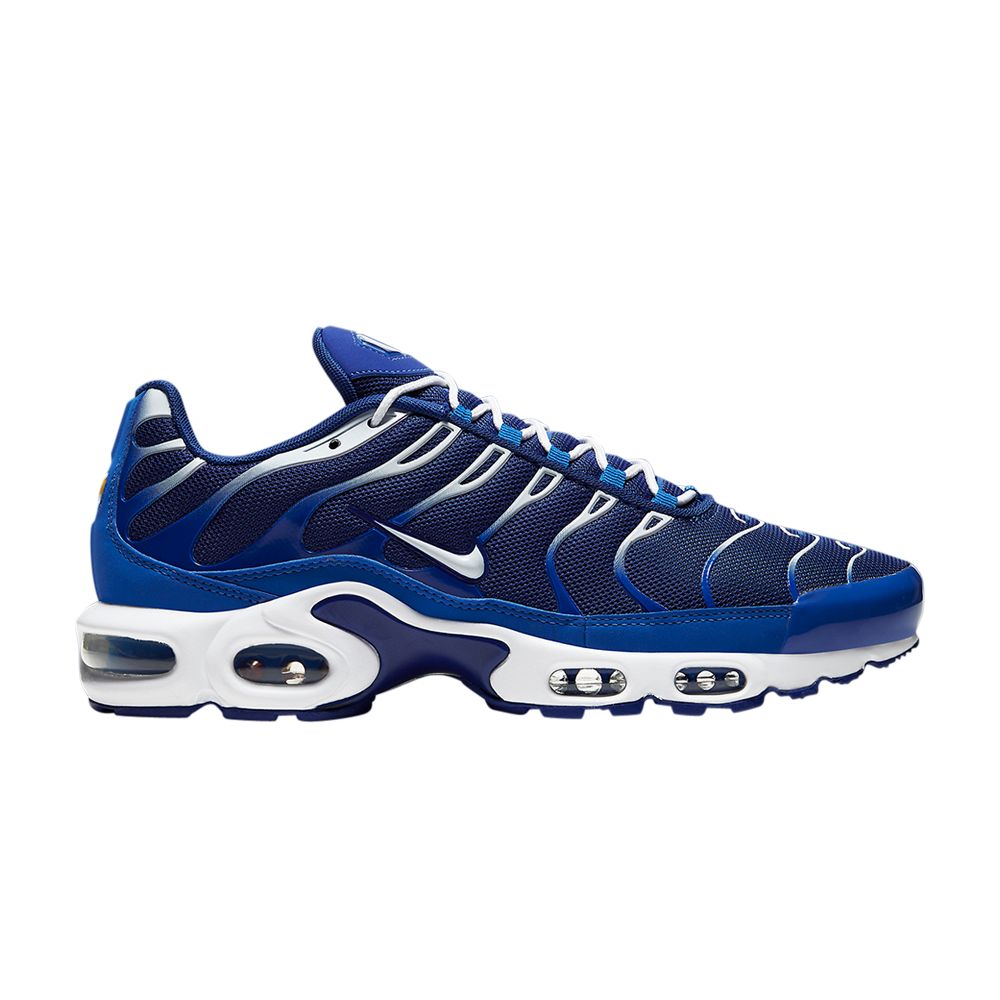 Nike Air Max Plus 'Arctic Chill' | Blue | Men's Size 13 - CW7024-400