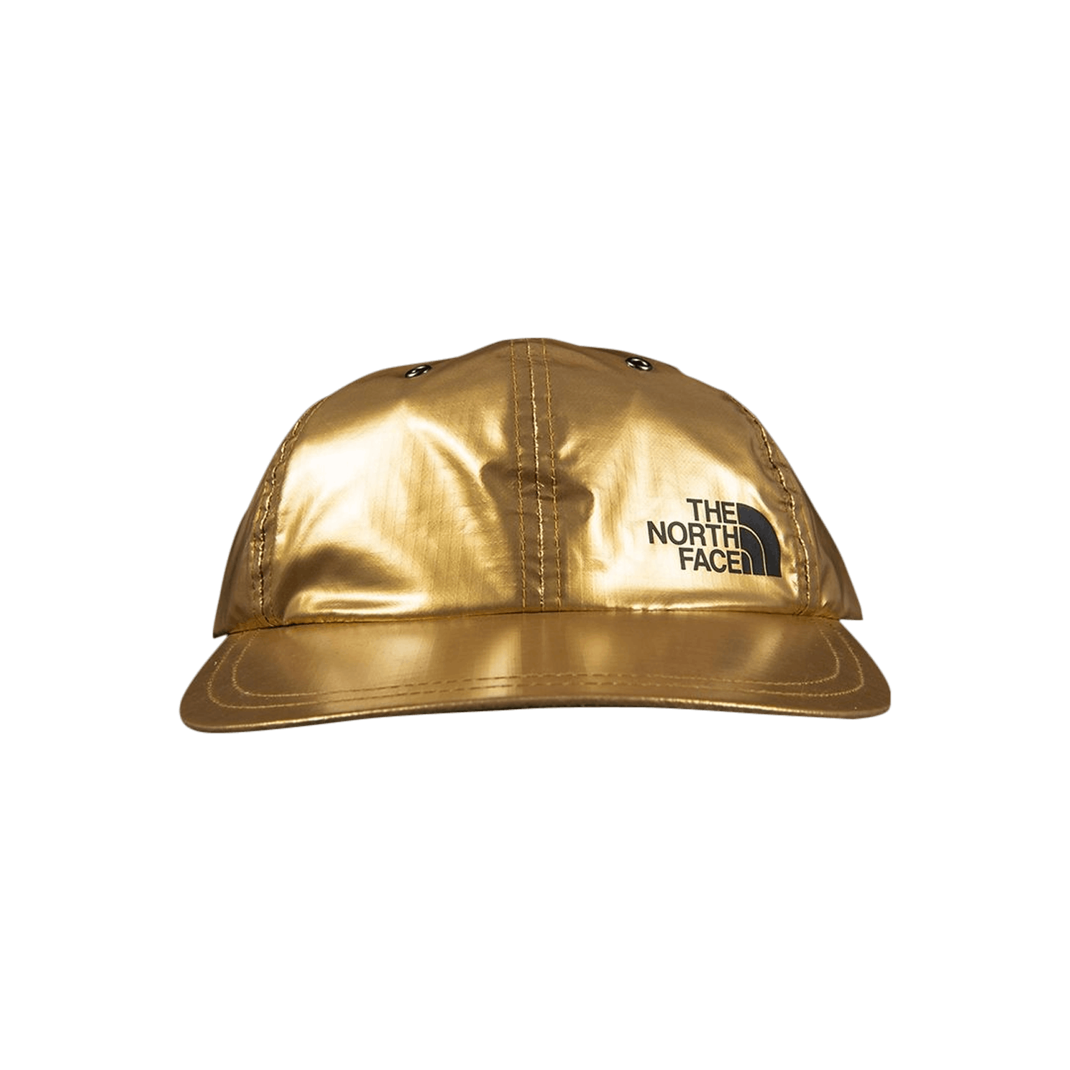 Supreme x The North Face Metallic 6 
