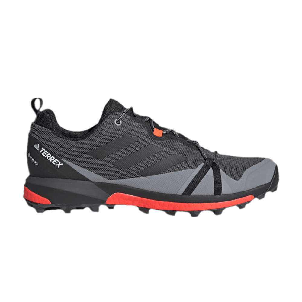 Terrex Skychaser LT Gore-Tex 'Grey