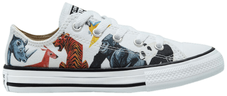 Converse Chuck Taylor All Star Low GS Science Class