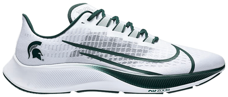 michigan pegasus 36