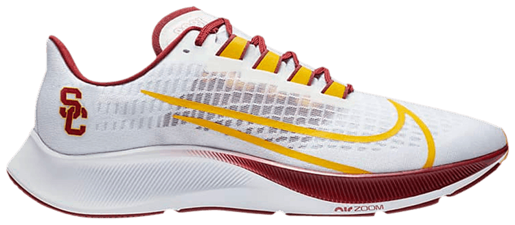 Nike air zoom pegasus 36 usc top