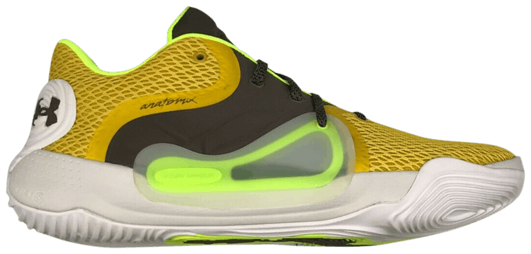 Anatomix 2025 spawn price