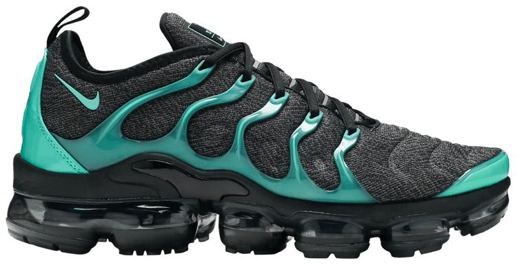 Size 11.0 Air VaporMax Plus Eagles