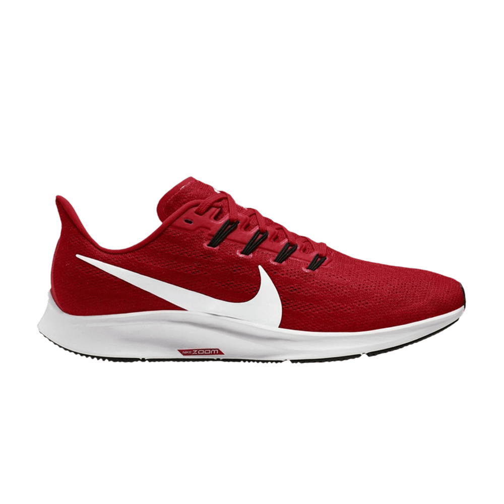 air zoom pegasus 36 tb