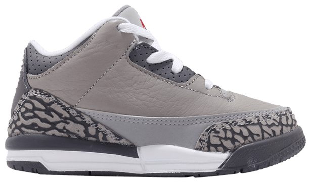 Air Jordan 3 Retro TD Cool Grey 2021