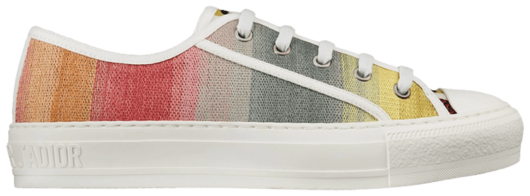 Dior Wmns WalkNDior Embroidered Low Multi Color