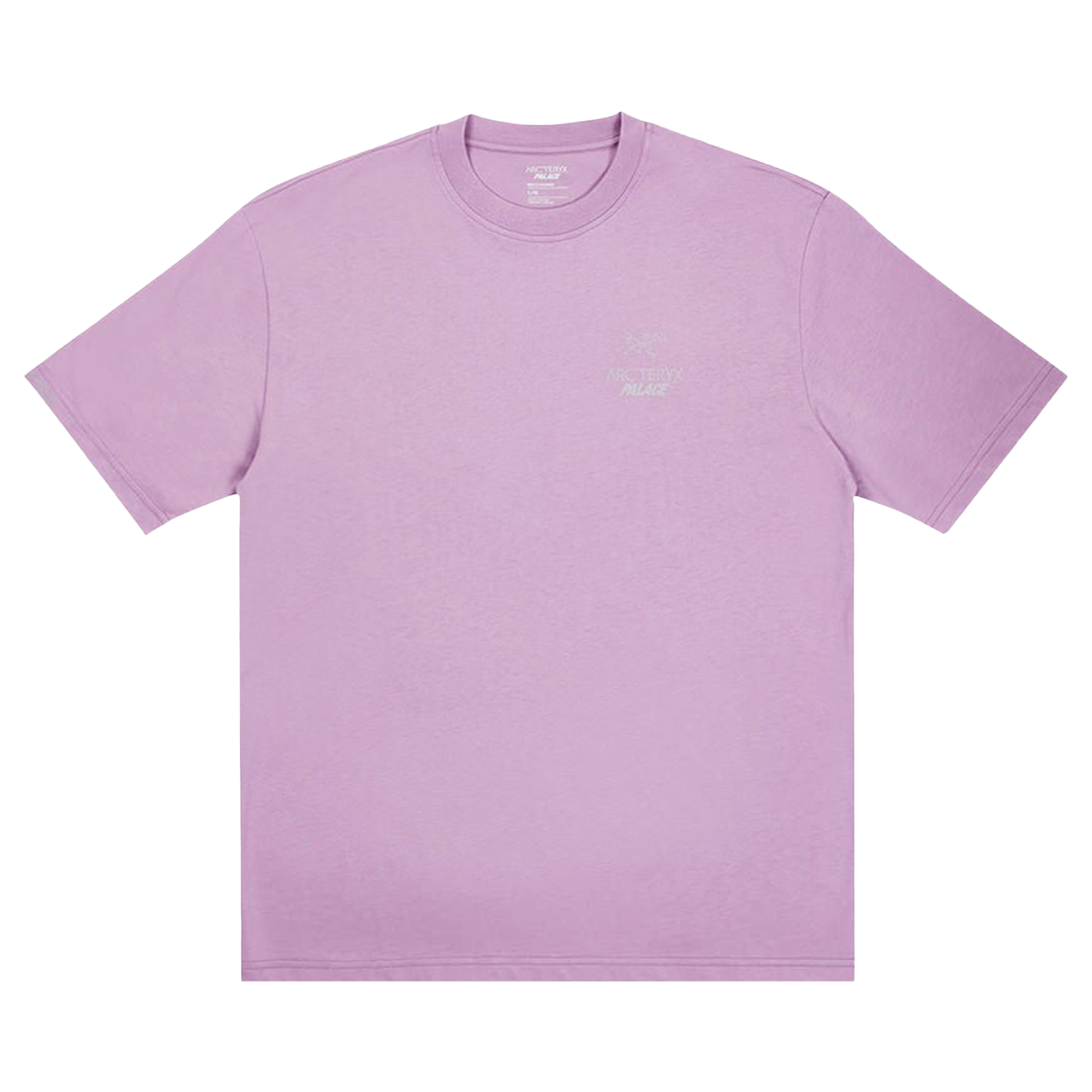 Pre-owned Palace X Arc'teryx T-shirt 'haze' In Purple