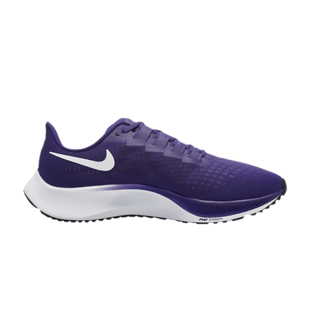 pegasus 37 purple