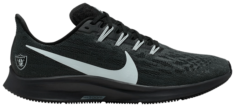 raiders pegasus 36
