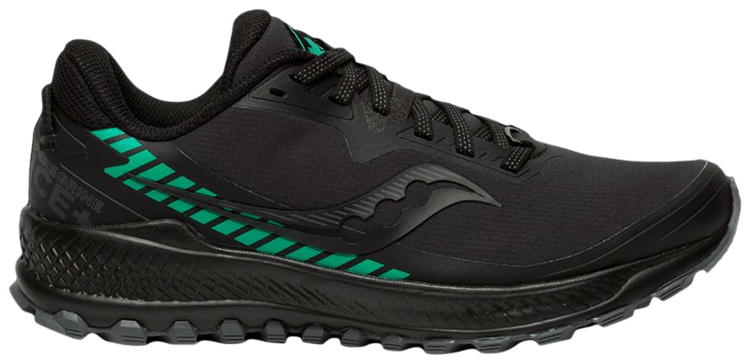 Saucony Wmns Peregrine ICE Black Jade