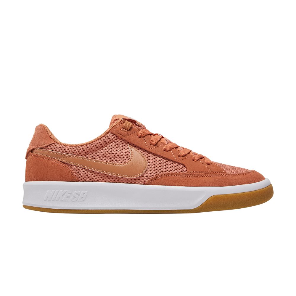 Nike Adversary SB 'Healing Orange' | Men's Size 10
