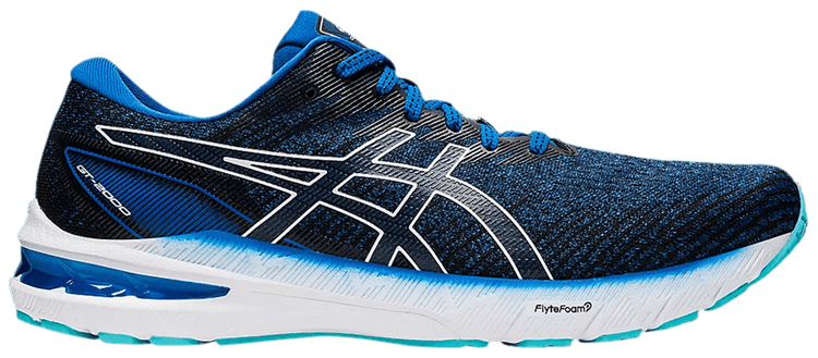 Asics GT 2000 10 2E Wide Lake Drive