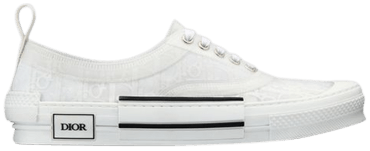Dior oblique low 2025