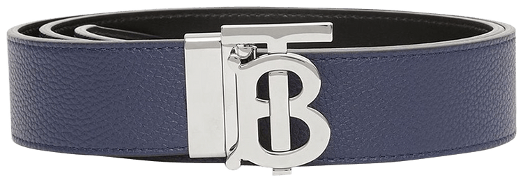 Burberry belt purple store