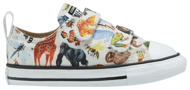 Converse Chuck Taylor All Star Low Easy On TD Science Class