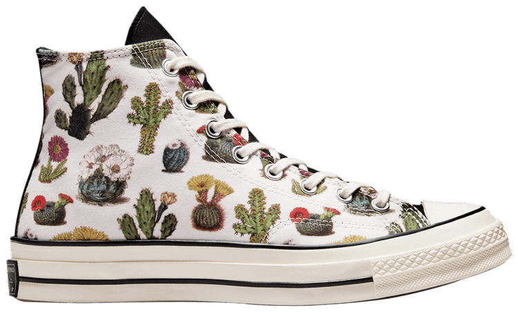 Converse Chuck 70 High Succulents